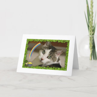 St. Patrick Dag Gracey Feestdagen Kaart