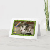 St. Patrick Dag Gracey Feestdagen Kaart (Voorkant)