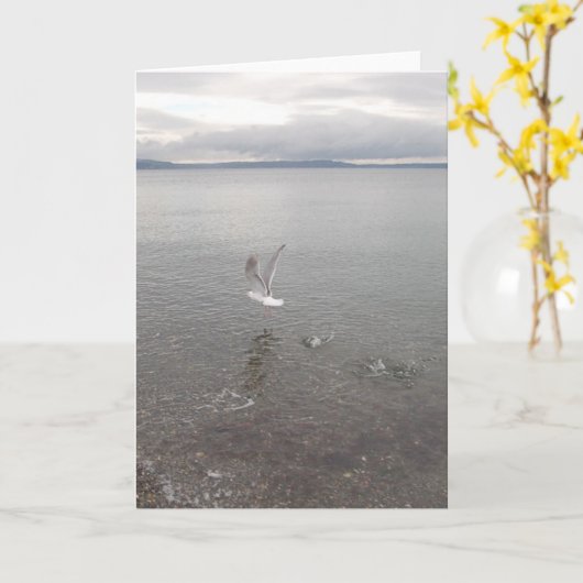 St. Patrick Dag Kaart (Gele Bloem)