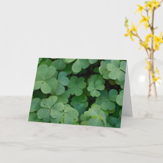 St. Patrick de Kaart van de Dag (Gele Bloem)