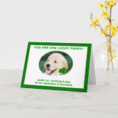 St. Patrick de Kaart van de Dag voor Grootouders, (Gele Bloem)
