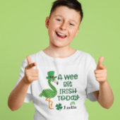 St Patrick Flamingo Leprechaun Pet A wee bit Irish T-shirt