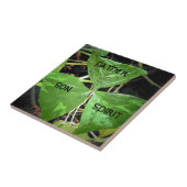 St. Patrick gebruikte een shamrock Tegeltje (Zijkant)