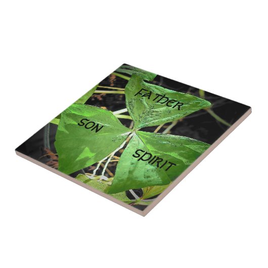 St. Patrick gebruikte een shamrock Tegeltje (Zijkant)