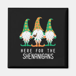 St Patrick Gnome Irish Day Shenanigan Leprechaun S Magneet