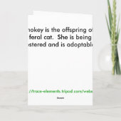 St. Patrick het katjeskaart van de Dag Kaart (Achterkant)