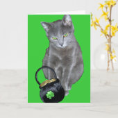 St. Patrick het katjeskaart van de Dag Kaart (Gele Bloem)