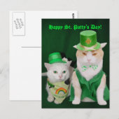 St. Patrick Katten Briefkaart (Voorkant / Achterkant)