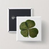 St Patrick Real 4 Leaf Clover Get Lucky Button (Voorkant /achterkant)