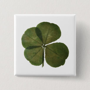 St Patrick Real 4 Leaf Clover Get Lucky Button