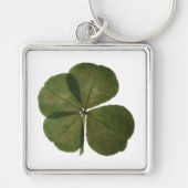St Patrick Real 4 Leaf Clover Get Lucky Sleutelhan Sleutelhanger (Voorkant)