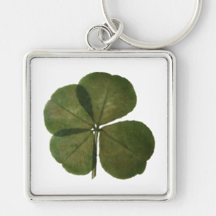 St Patrick Real 4 Leaf Clover Get Lucky Sleutelhan Sleutelhanger