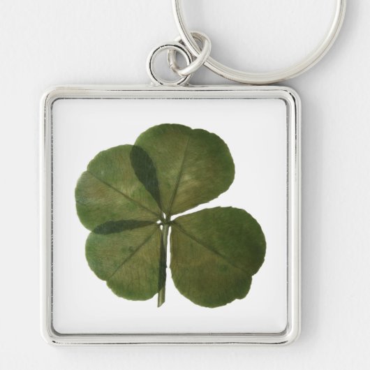 St Patrick Real 4 Leaf Clover Get Lucky Sleutelhan Sleutelhanger (Voorkant)