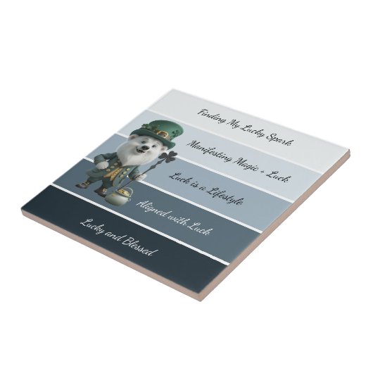 St. Patrick’s Affirmation Tegeltje (Zijkant)