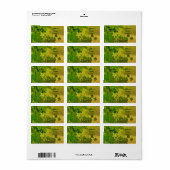 St. Patrick’s Day Shamrock personalized Etiket (Full Sheet)