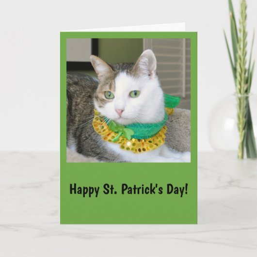 St. Patrick van de kat dagkaart Kaart (Voorkant)