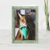 St. Patrick van de Kat van de kabouter het Kaart (Voorkant)