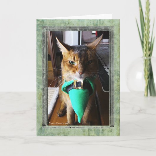 St. Patrick van de Kat van de kabouter het Kaart (Voorkant)