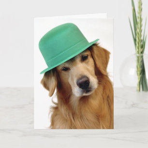 St. Patrick van het golden retriever Dag Kaart