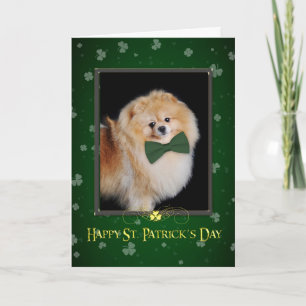 St. Patrick van Pomeranian de Kaart van de Dag