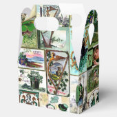 St Patrick's Bedankdoosjes (Geopend)