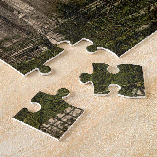 St Patrick's Cathedral Dublin Ierland Legpuzzel (Zijkant)