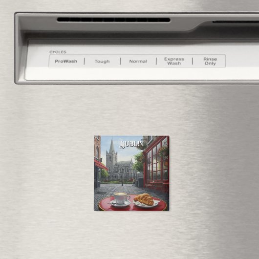 St Patricks Cathedral Dublin Ierland Reizen Magneet (Insitu (Vaatwasser))