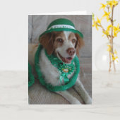 ST. PATRICKS DAG BRETAGNE KAART (Gele Bloem)