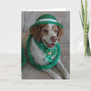 ST. PATRICKS DAG BRETAGNE KAART