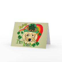 St Patricks Dag Goldendoodle