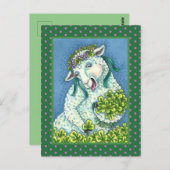 ST. PATRICK'S DAG IRISH EWE, SHEEP & SHAMROCKS BRIEFKAART (Voorkant / Achterkant)