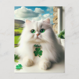 St. Patricks Dag Kat Fluffy Witte Kat Groene Ogen Briefkaart