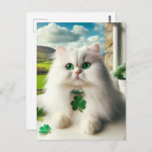 St. Patricks Dag Kat Fluffy Witte Kat Groene Ogen Briefkaart (Voorkant / Achterkant)