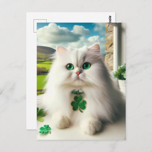St. Patricks Dag Kat Fluffy Witte Kat Groene Ogen Briefkaart (Voorkant / Achterkant)