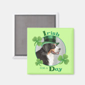 St. Patrick's Day Berner Magneet (Voorkant / Achterkant)