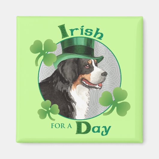St. Patrick's Day Berner Magneet (Voorkant)