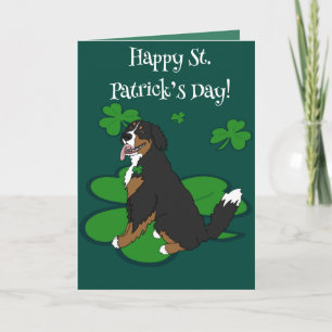 St. Patrick's Day Bernese Mountain Dog Kaart