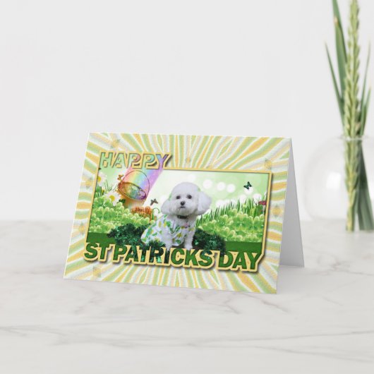 St Patrick's Day - Bichon Frise - Mia Kaart (Voorkant)