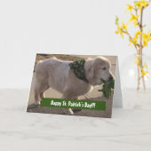 St. Patrick's Day Blessing Kaart (Gele Bloem)