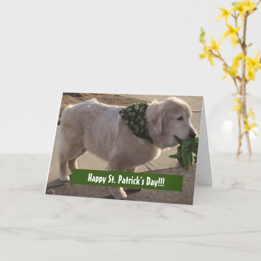 St. Patrick's Day Blessing Kaart (Gele Bloem)