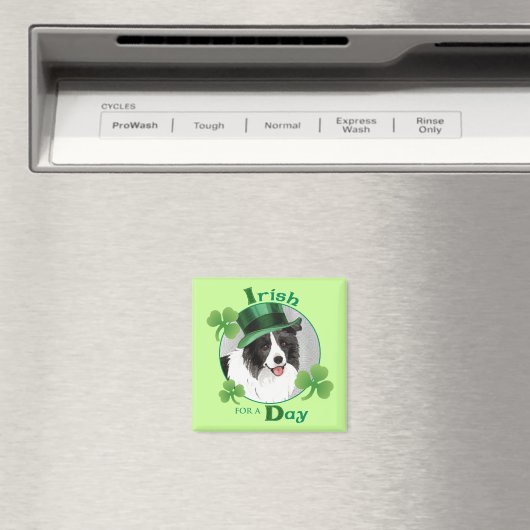 St. Patrick's Day Border Collie Magneet (Insitu (Vaatwasser))
