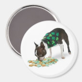 St. Patrick's Day Boston Terrier magneet (Voorkant / Achterkant)