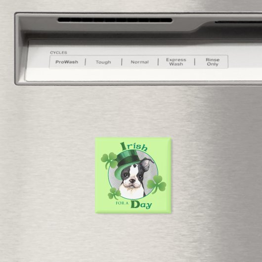 St. Patrick's Day Boston Terrier Magneet (Insitu (Vaatwasser))