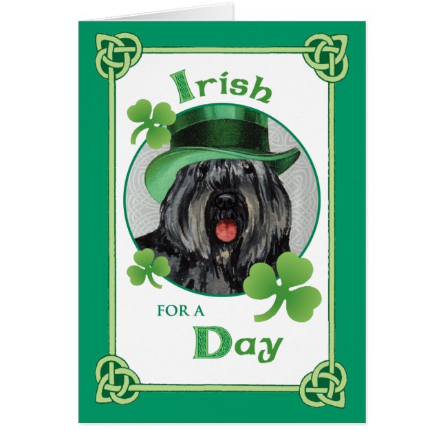 St. Patrick's Day Bouvier (Voorkant)