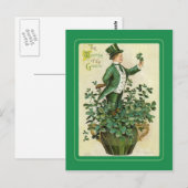 St Patrick's Day briefkaart (Voorkant / Achterkant)
