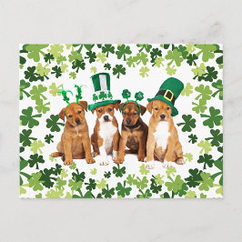 St. Patrick's Day Briefkaart
