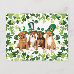 St. Patrick's Day Briefkaart
