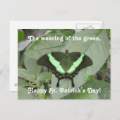 St. Patrick's Day Butterfly Briefkaart (Voorkant / Achterkant)