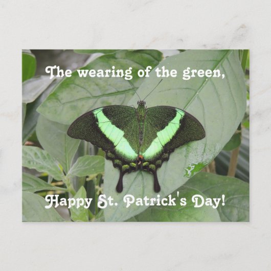 St. Patrick's Day Butterfly Briefkaart (Voorkant)