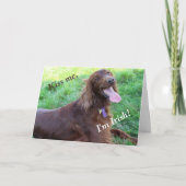 St. Patrick's Day Card met een Irish Setter Feestdagen Kaart (Voorkant)